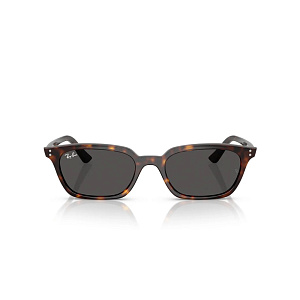 Очки с/з Ray-Ban RB 4456 1359/87 53